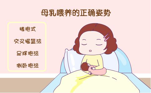 图片241.png